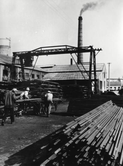 中国经济的韧性｜沙钢：沈文荣与他百炼成钢的沙钢发展观(图2)